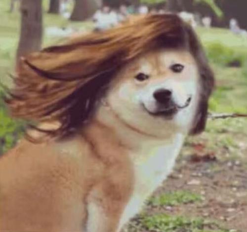 全智贤用什么护发精油,护发精油全智贤同款