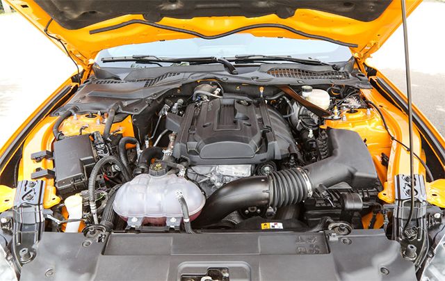 情人节开奥迪送白菜,情人节开奥迪见女朋友