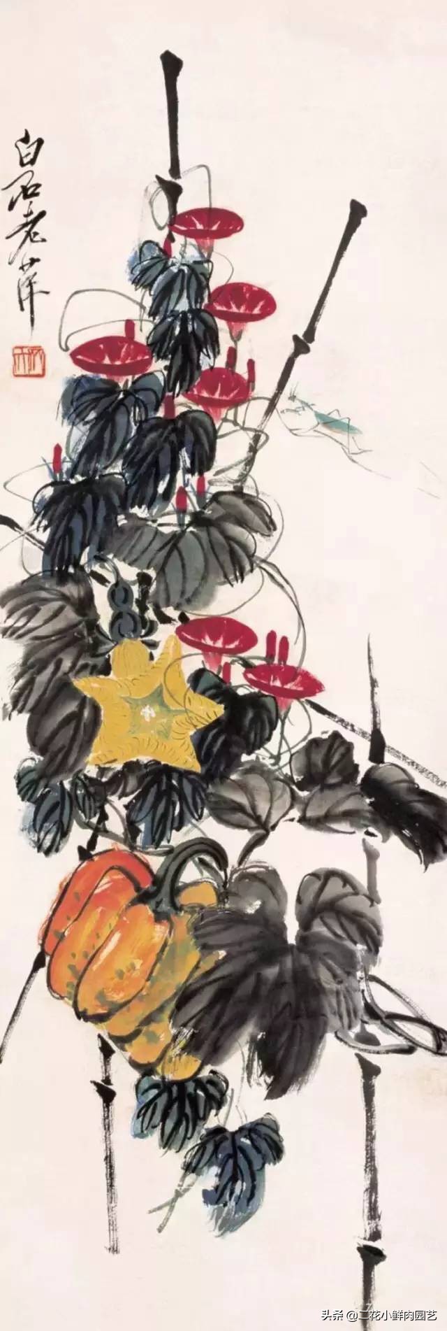 100种花卉绘画,100多张花卉线描手稿素材赶快收藏