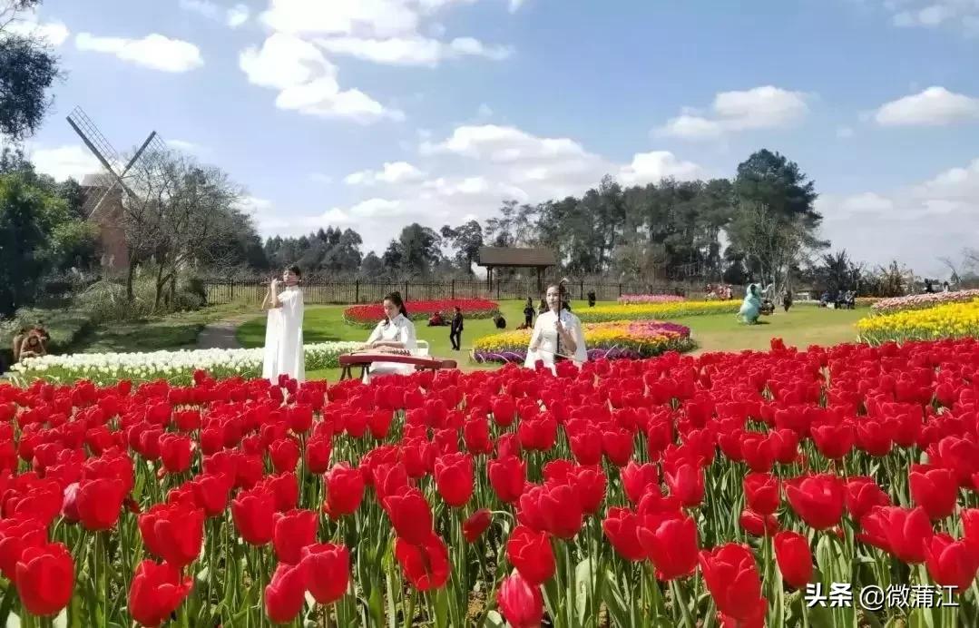 跟随央视《美丽中国》，一起去蒲江！一起去石象湖！