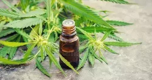 工业*麻大**：从北美火到中国，23个值得关注的行业机会