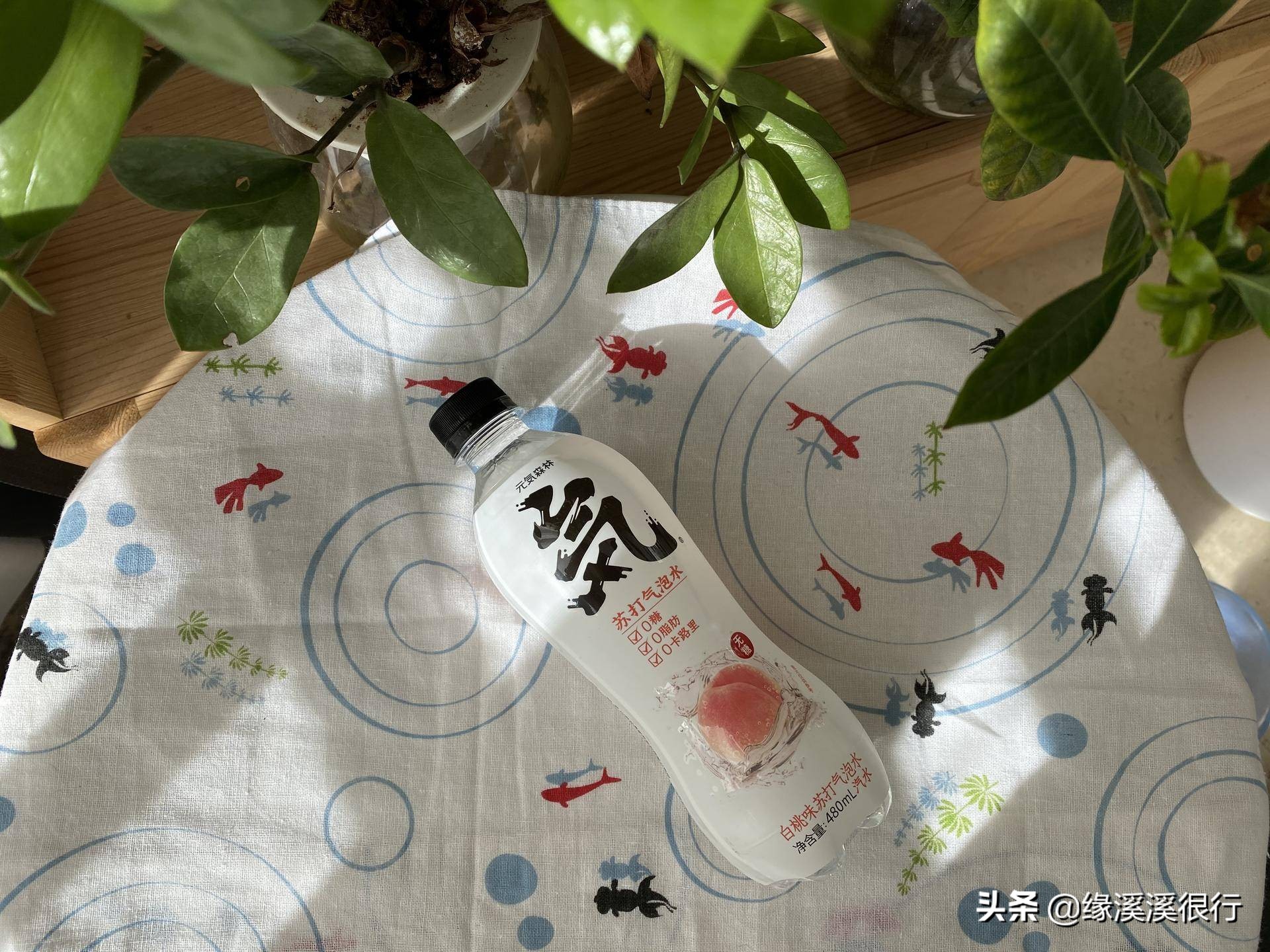 减肥期间可以喝元气森林气泡水,元气森林乳茶减脂吗