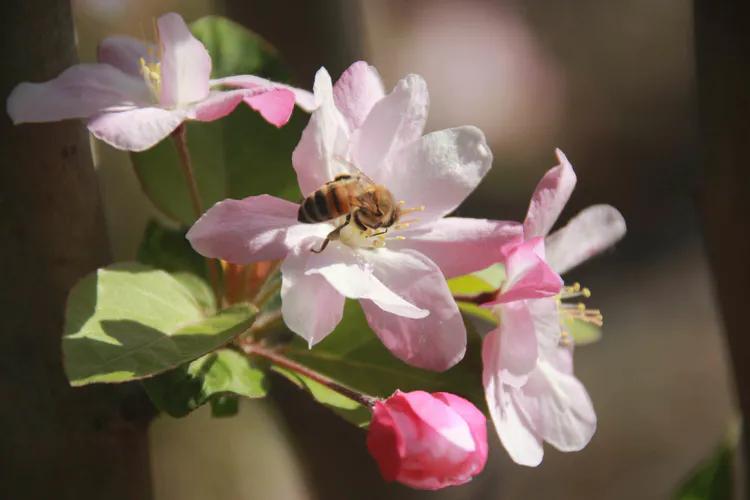 坚定信心同舟共济实现民族复兴,坚定信心共克时艰战贫战疫必胜