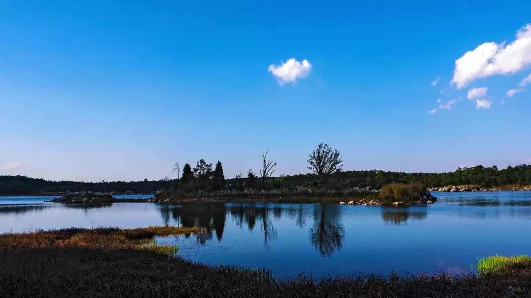 昆明石林景区值得去吗,昆明石林精华景点