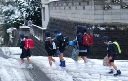 用20条告诉你，日本高质量的教育是从哪个环境、什么游戏开始的