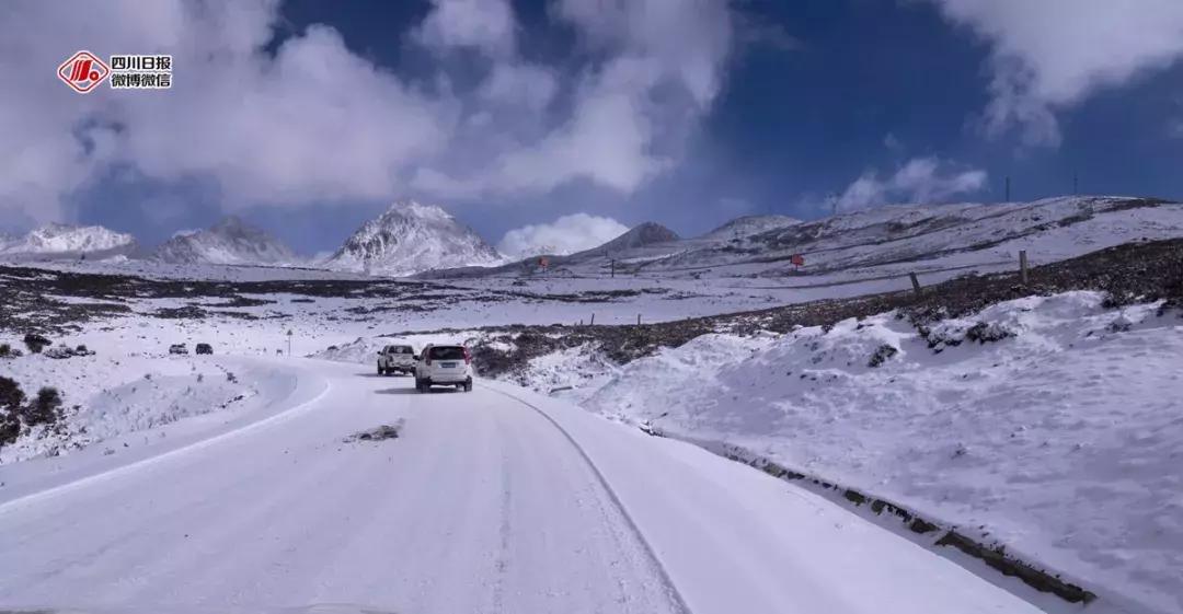 冰雪与花海齐飞！二月的四川美翻了......