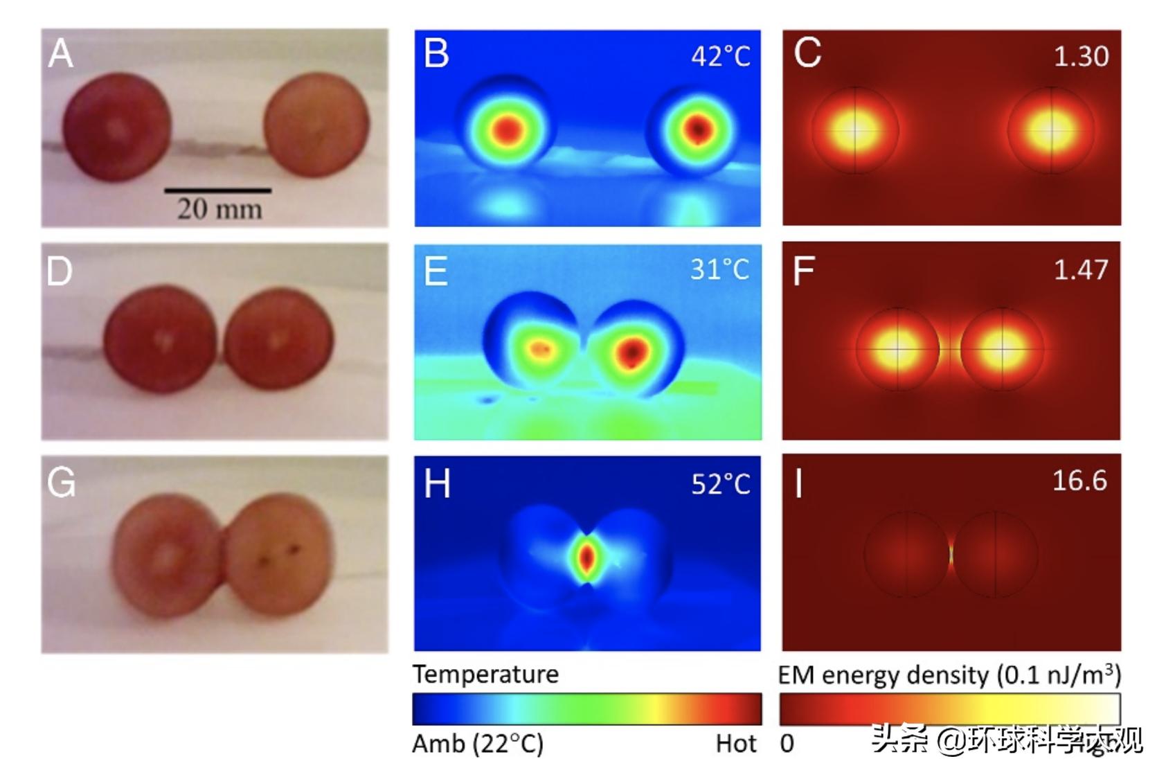 微波炉加热葡萄爆炸,葡萄进微波炉加热会爆炸是真的吗