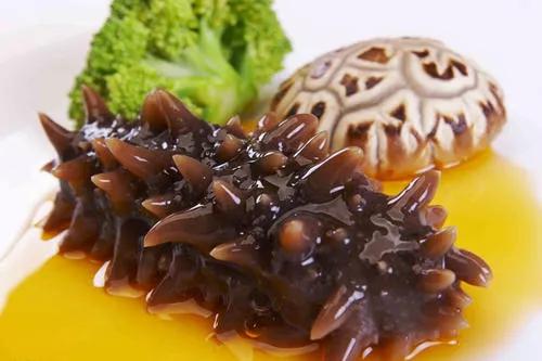 提高海参免疫力用什么产品,海参提高免疫力最快的方法