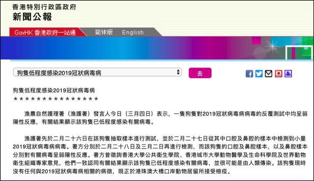狗也会感染新冠病毒？检测呈弱阳性，这3点让你的狗远离病毒