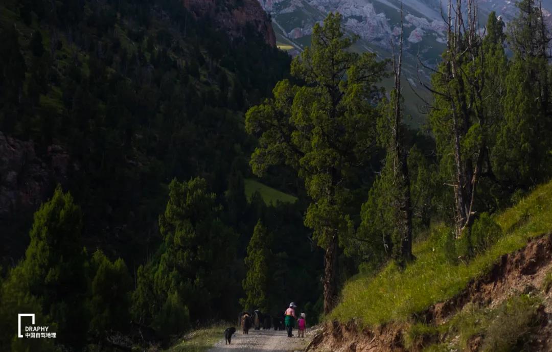青海发现大规模罕见地貌奇观,青海现七彩流沙奇观