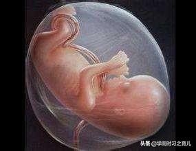 孕妇须知：脐带异常的5种情况和危险，准妈妈做好这些，别慌张