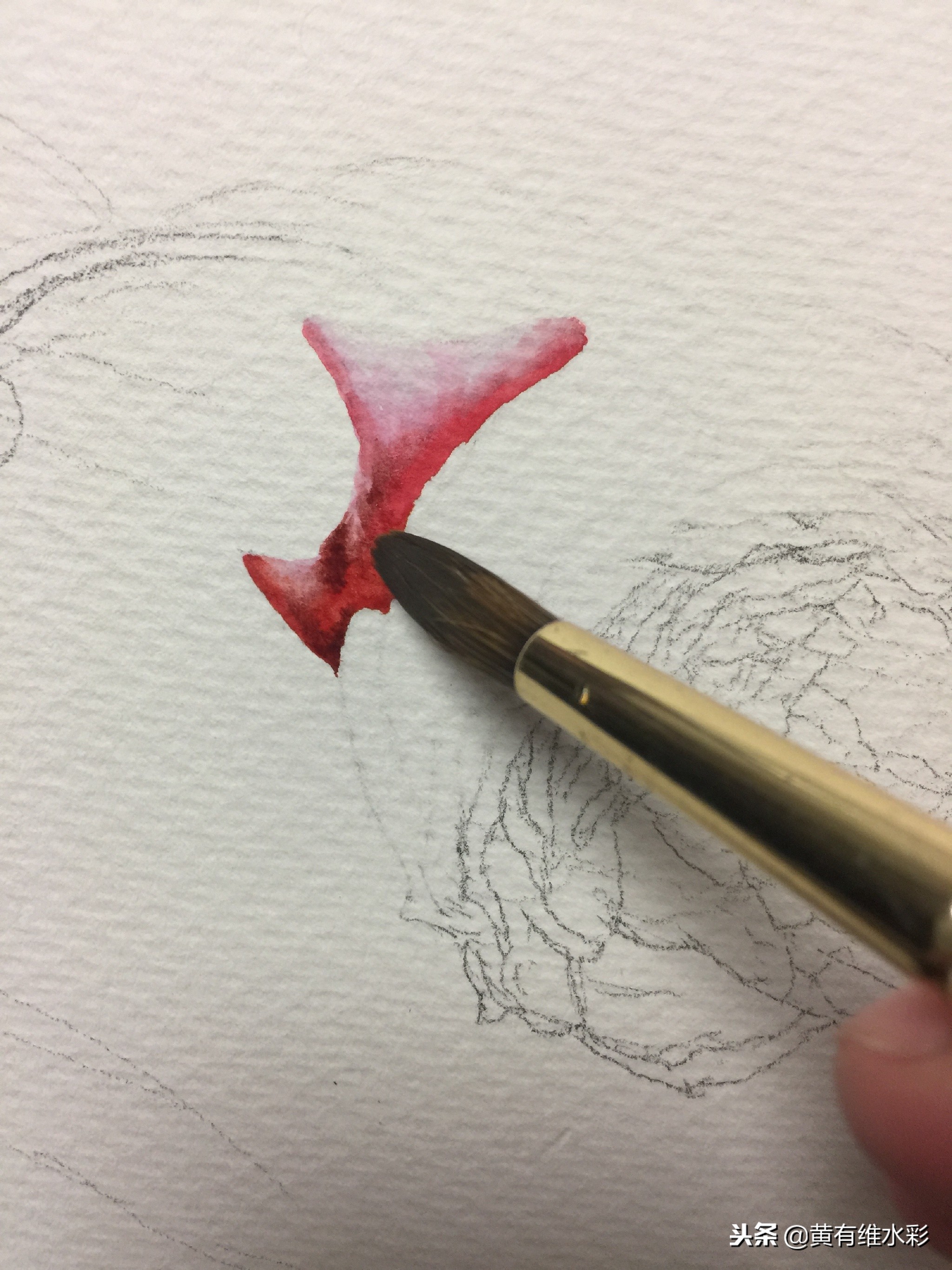 水彩教程简单好看手绘图片,水彩教程画花