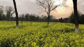 带娃周边3-4天自由行攻略,又到周末要带娃