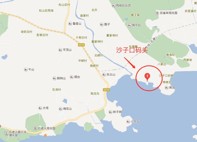 青岛海蛎虾,2019年青岛蛎虾