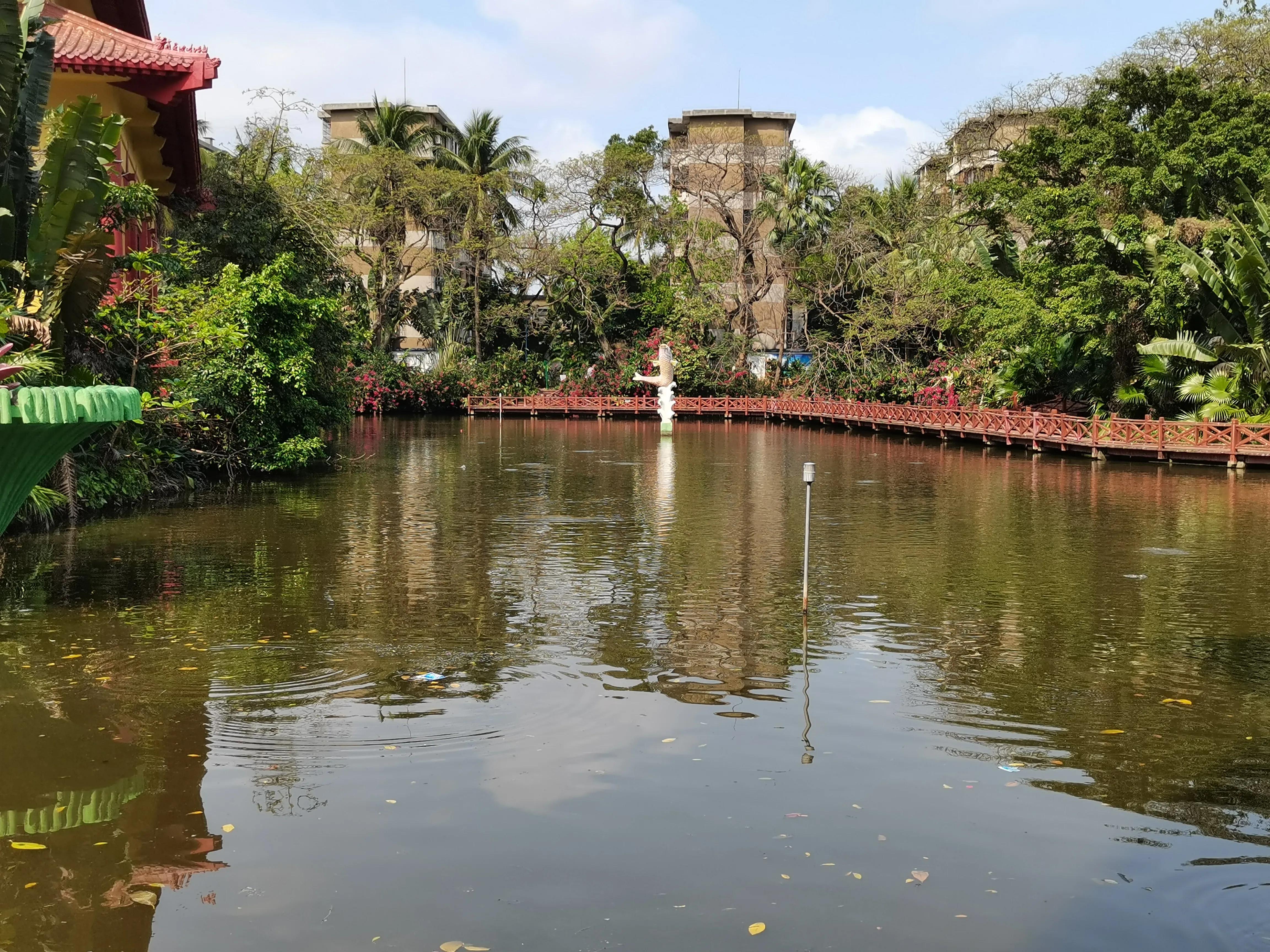 海口市湖中寺,海口闹市区中的湖中寺