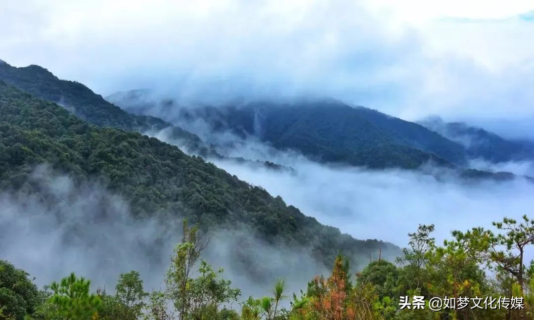 斗记茶业茶饼,斗记茶业春茶