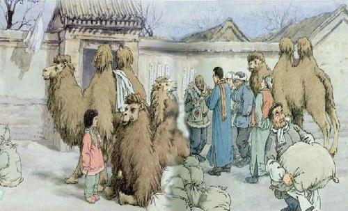 被誉为“沙漠之舟”的骆驼,仙人掌、断肠草都是它的食物