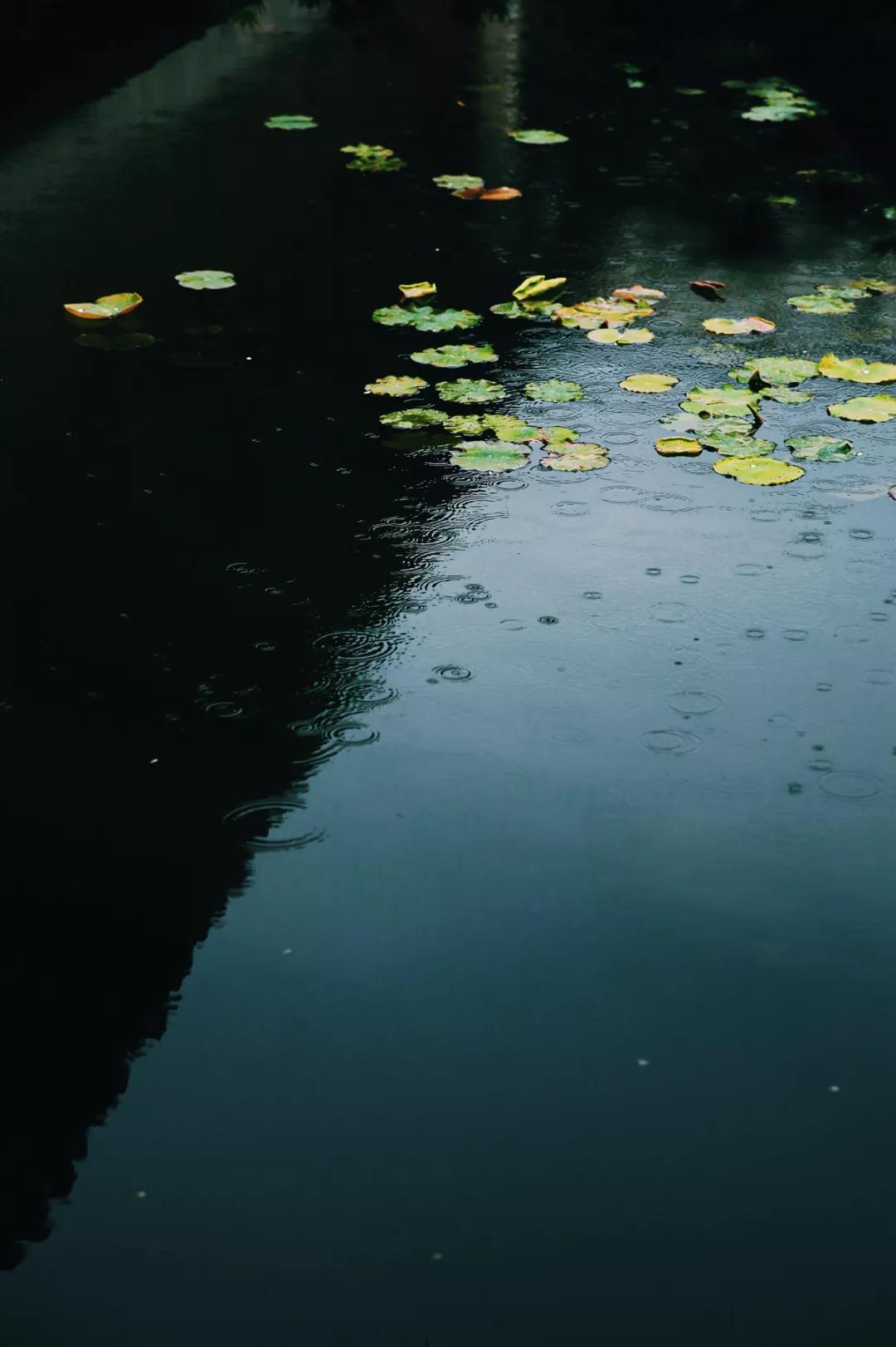 苏州园林静谧之美,苏州小众园林