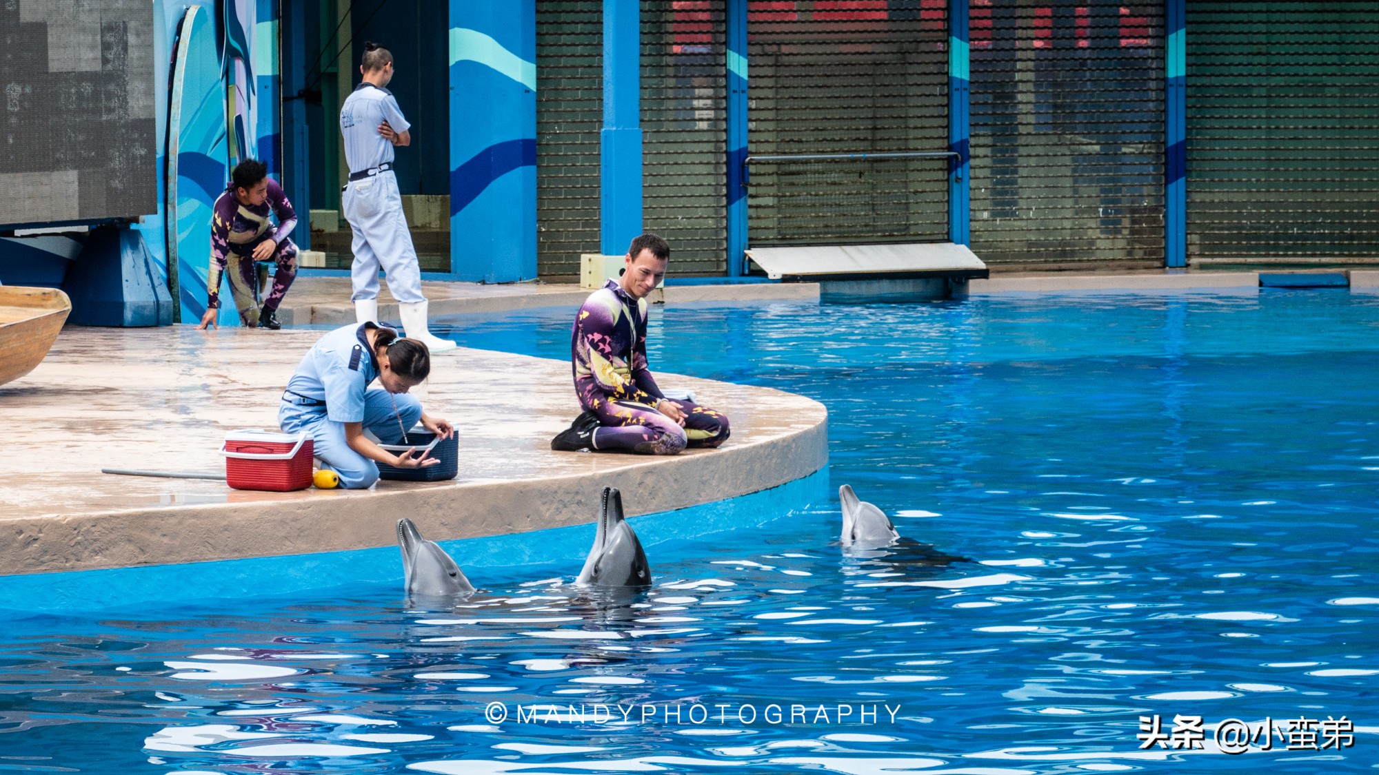 香港巡礼|是谁！敢拿水枪给20岁的海贼王庆生？