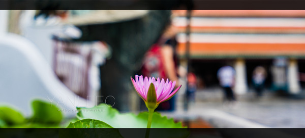 泰旅局发布2019年泰国旅游新玩法,曼谷漫游攻略