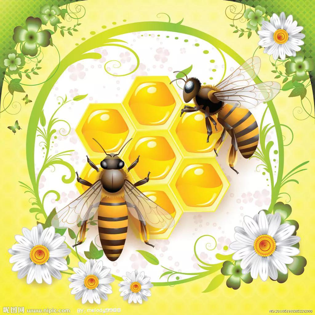 为谁辛苦为谁甜的古诗完整版,为谁辛苦为谁甜的前一句古诗