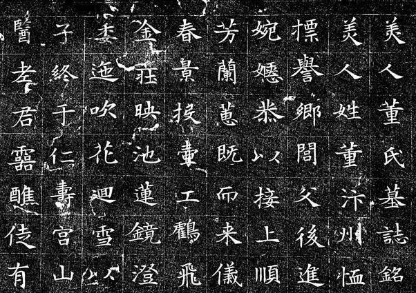 董美人墓志硬笔,董美人墓志全文字帖完整版