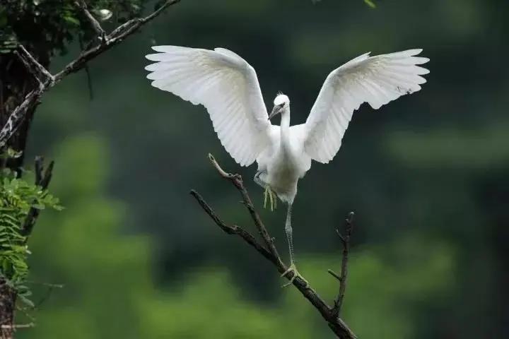 西九华山住宿最佳方案,西九华山风景区住宿