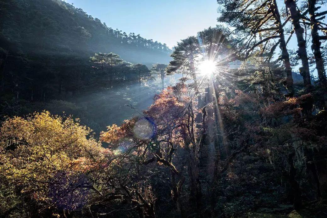 高海拔暴风雪,暴风雪徒步攀爬珠穆朗玛峰