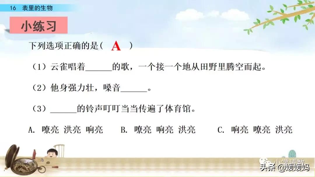 六年级下册语文表里的生物朗诵,六年级下册表里的生物小练笔400字