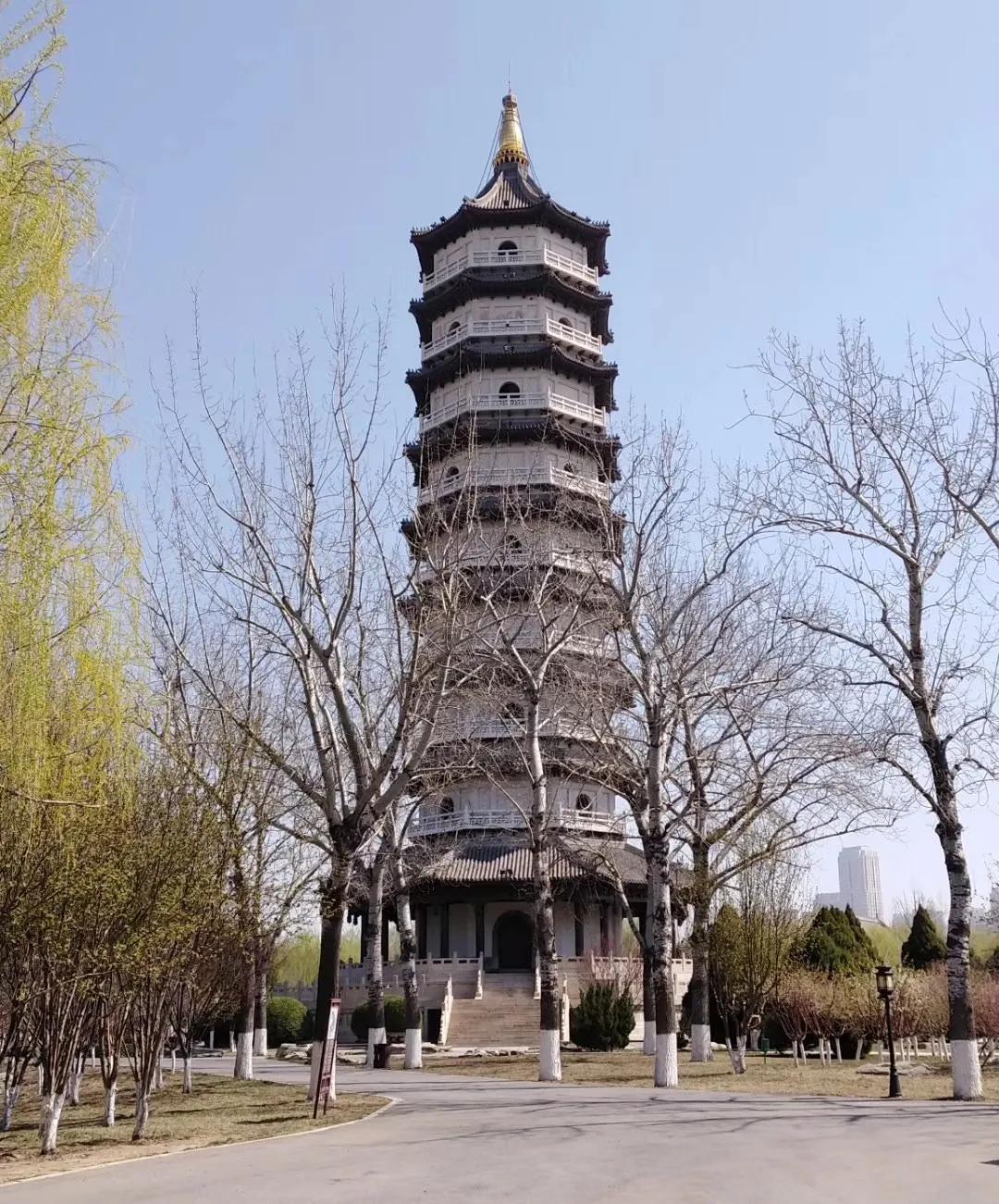 一个不出郑州的踏青好去处,天津春游公园推荐