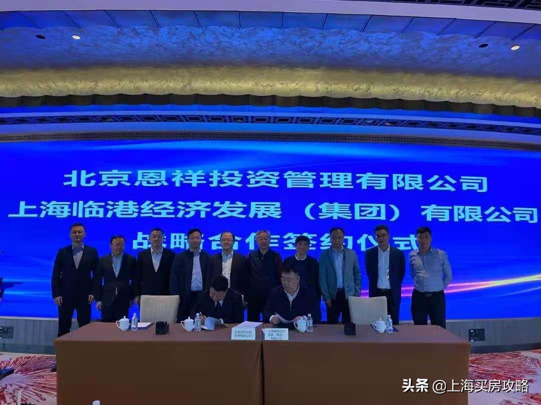 杨超越临港落户,锦鲤杨超越