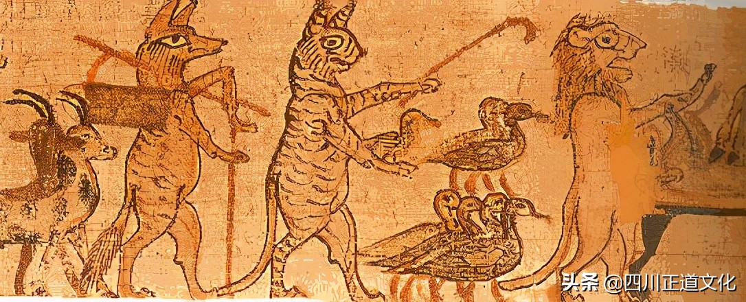 猫的故事,猫的故事视频