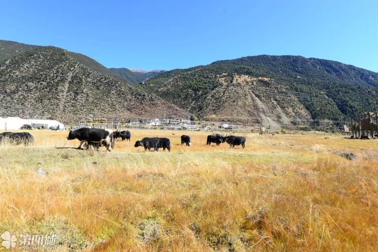 漫漫装修路，比邻有缘人（第一部分）