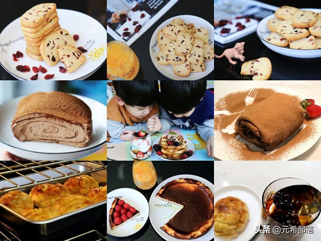 荷兰小镇郁金香盛开,荷兰小镇郁金香花海