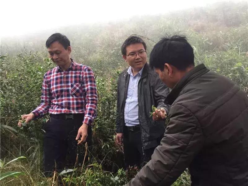 舍小家为大家坚守一线的村书记,舍小家为大家我们是群众的守护者