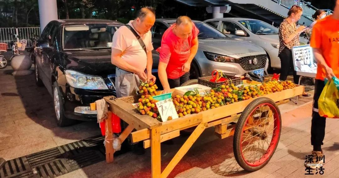 深圳西丽富人区小区有哪些,西丽宜居片区