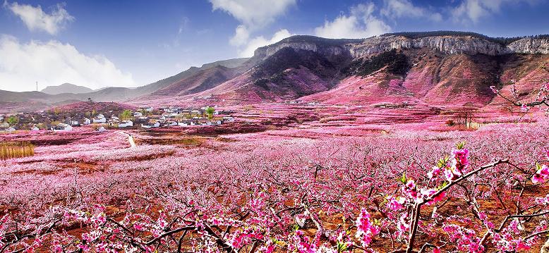 蒙阴探索乡村振兴新路径,乡村振兴澎湃