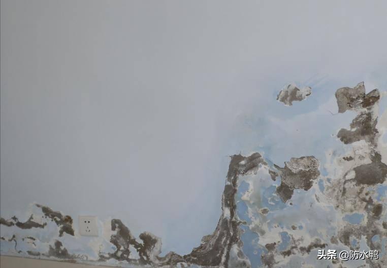 墙面返潮怎么解决,墙面返潮怎么补救