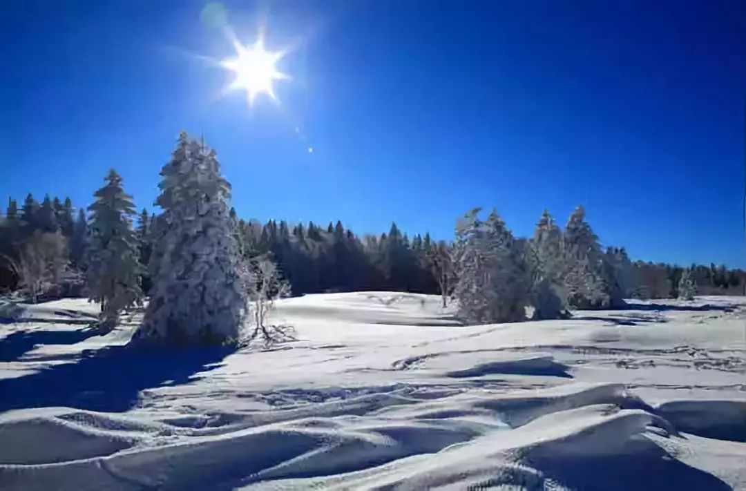 中国各地特产酒一览表,安徽各地特产一览表