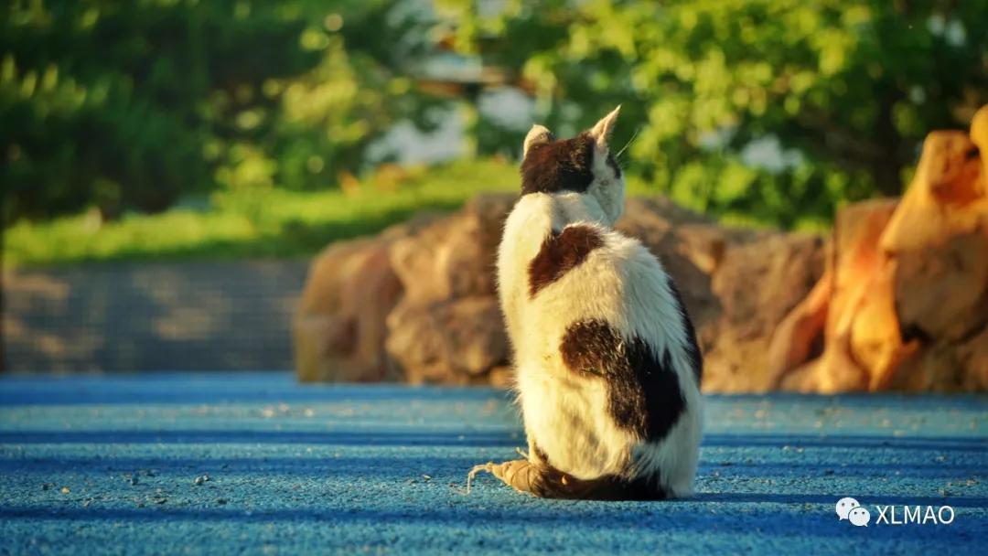 摄影爱好者的拍摄题材,一名业余摄影爱好者的简介