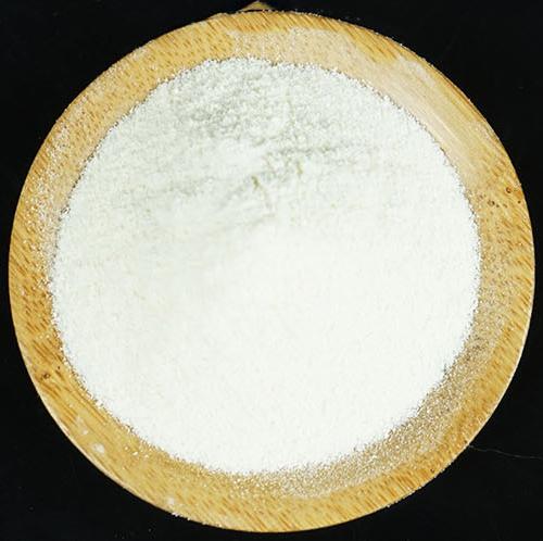 狗狗吃什么容易长肉不吃肉,狗狗两三天不吃东西呕吐怎么回事