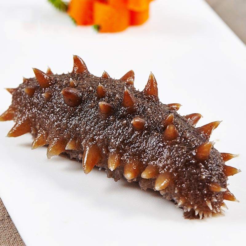 大连野生即食海参多少钱一斤,大连野生盐渍海参的价格