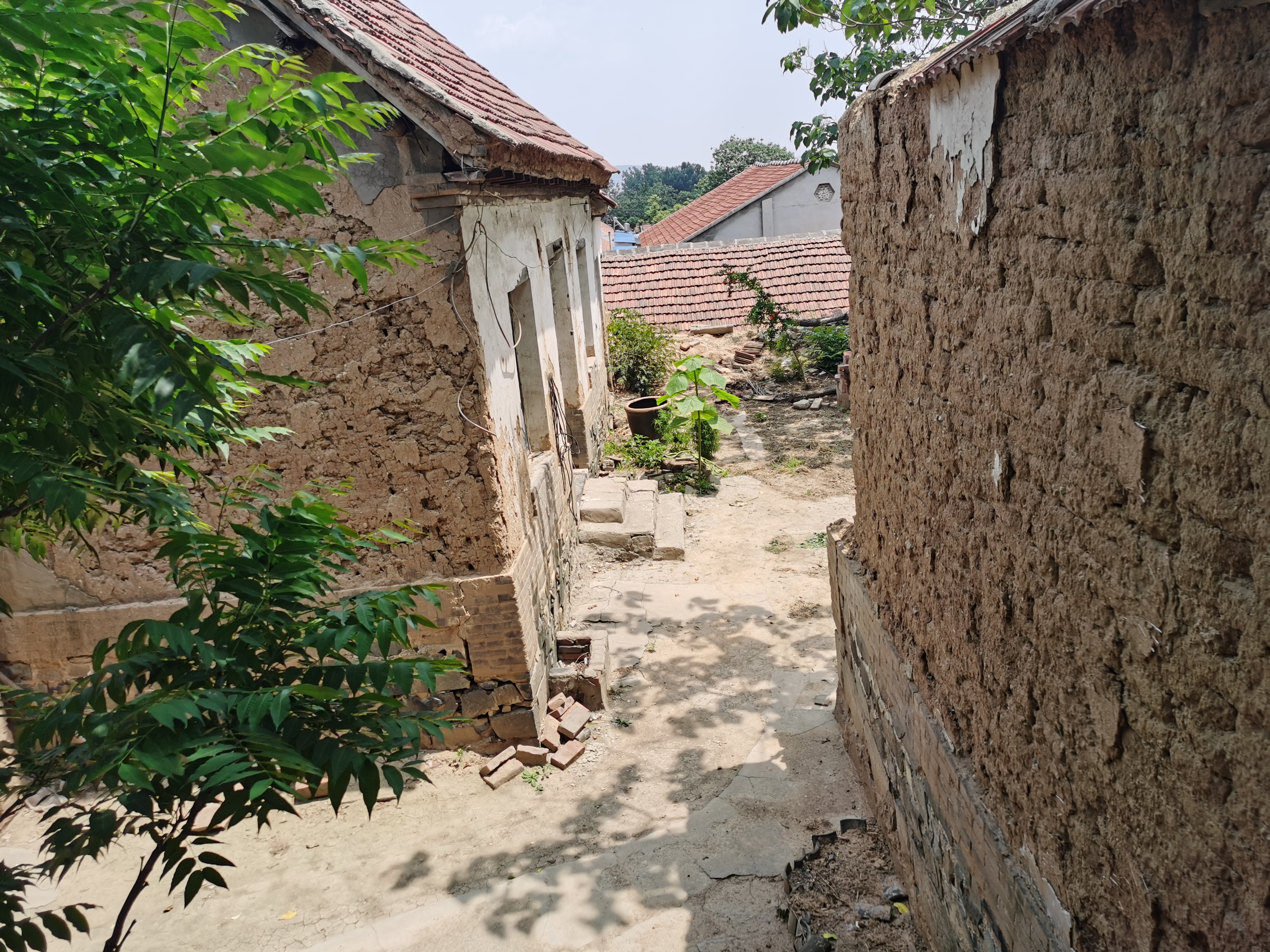 娟子的农村事打井,娟子被推入井里