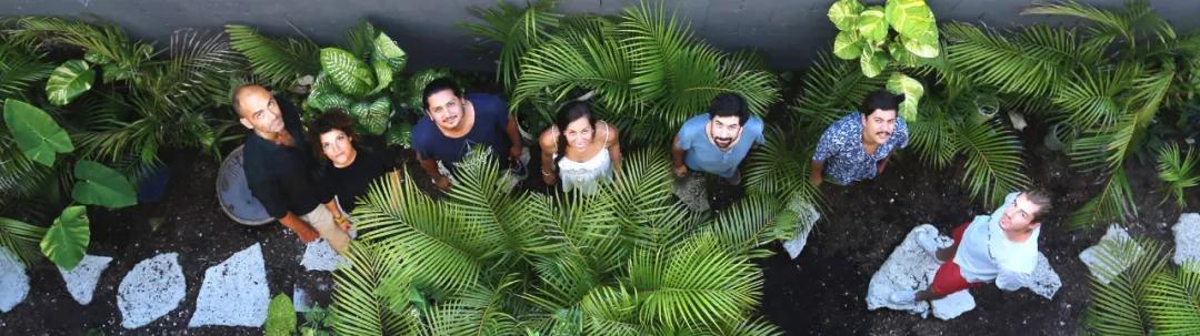 CO-LAB|自然系住宅