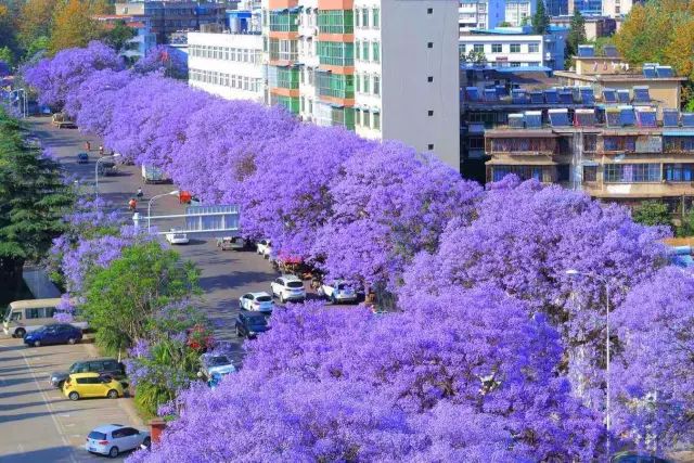 四川藏着一个静谧古城,四川被忽略的古城