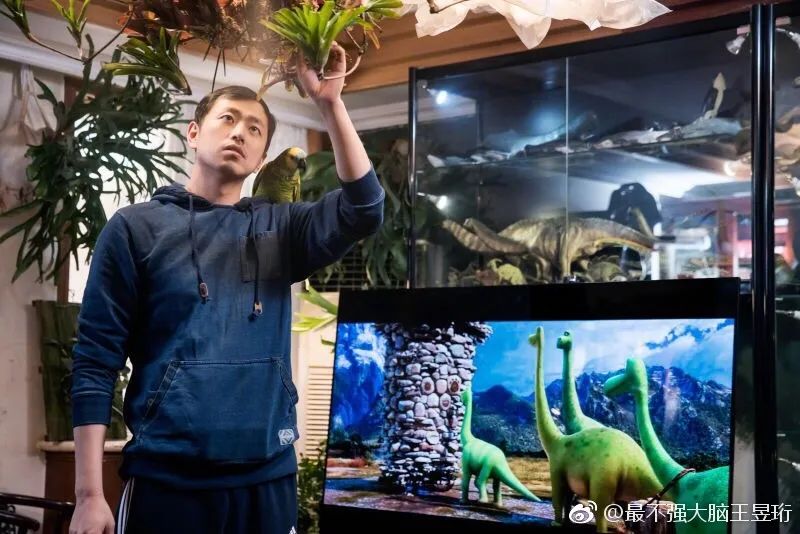 王昱珩不上班做到财富自由,最强大脑王昱珩清华毕业后不上班