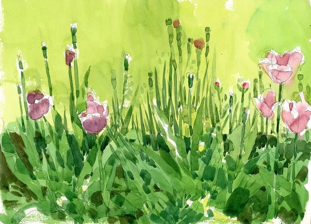 酣畅淋漓的水彩,酣畅淋漓水彩