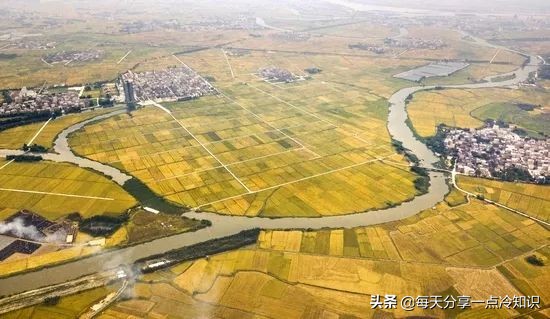 九个很有意思的冷知识,湛江冷知识