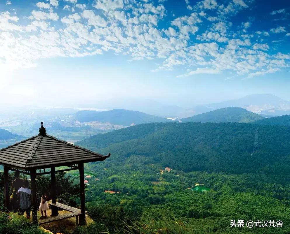 2019武汉军运会全程,武汉2019军运会回顾