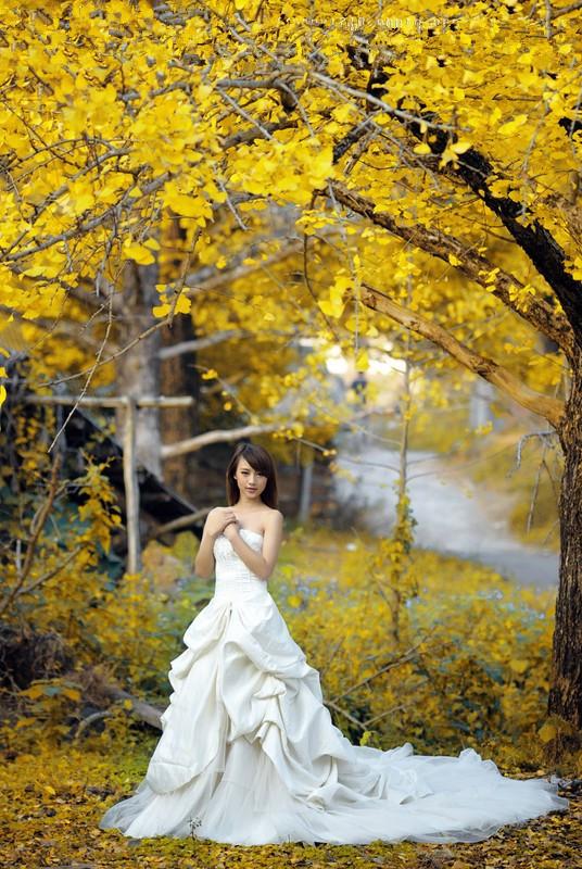 晏殊最经典十首诗解析,晏殊最经典十首诗及赏析